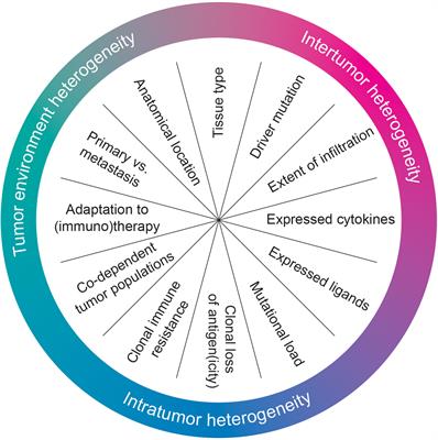 Heterogeneity in functional genetic screens: friend or foe?